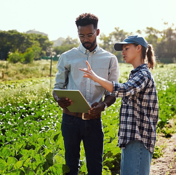 agri-finance-intro-cs